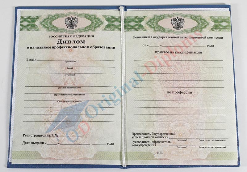 Диплом училища, лицея 2010-2027 год